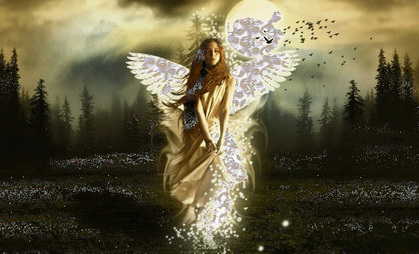 86547338_p.gif